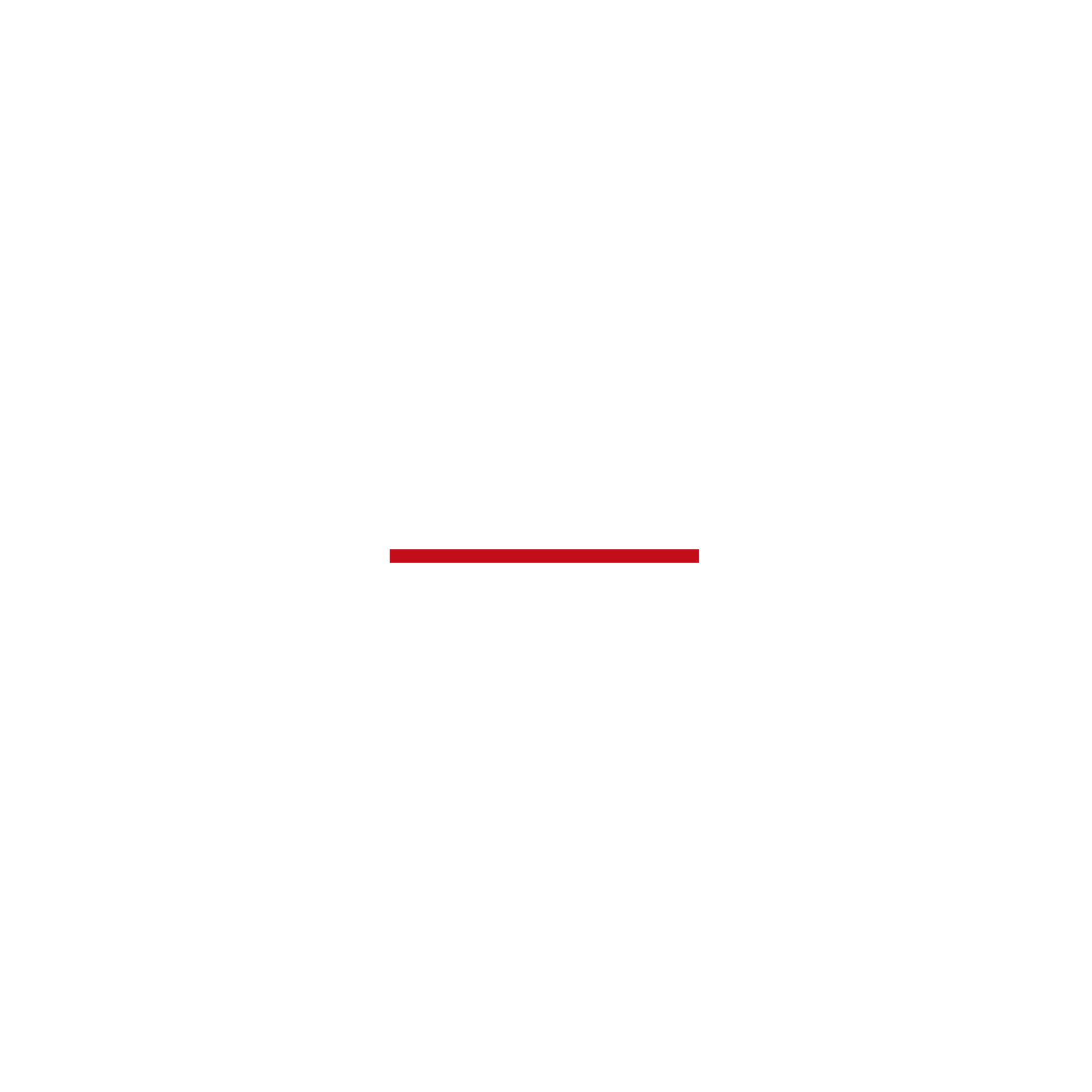 Camozzi Group logo representing an international industrial network